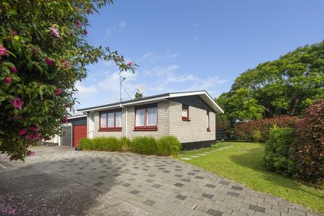 Photo of property in 7 Lorna Place, Brookfield, Tauranga, 3110