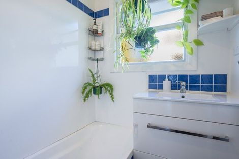 Photo of property in 60 Emano Street, Toi Toi, Nelson, 7010