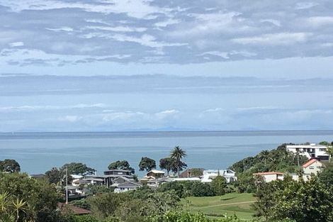 Photo of property in 66 Bay Vista Drive, Red Beach, 0932