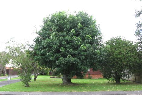 Photo of property in 127 Moore Street, Hillcrest, Auckland, 0627