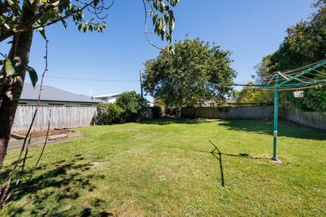 Photo of property in 119 Ferguson Street, West End, Palmerston North, 4412