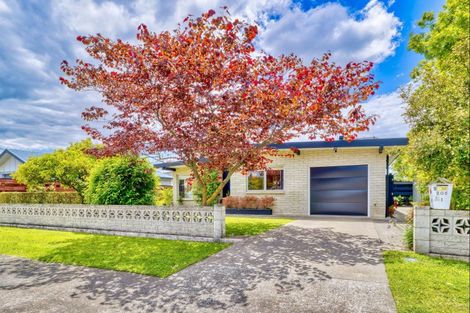 Photo of property in 1/205 Knight Street, Hastings, 4122