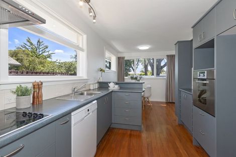 Photo of property in 19 Egmont Place, Bishopdale, Christchurch, 8051