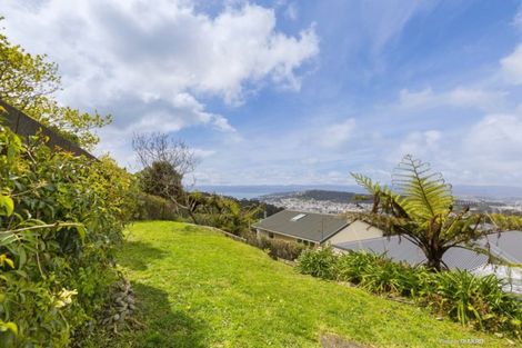 Photo of property in 39 Koromiko Road, Aro Valley, Wellington, 6012