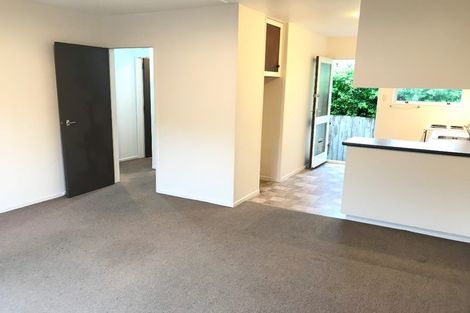 Photo of property in 2/46 Buffon Street, Waltham, Christchurch, 8023