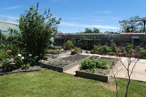 Photo of property in 7 Greenfield Street, Hector, 7822