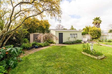 Photo of property in 185 Oxford Street, Ashhurst, 4810