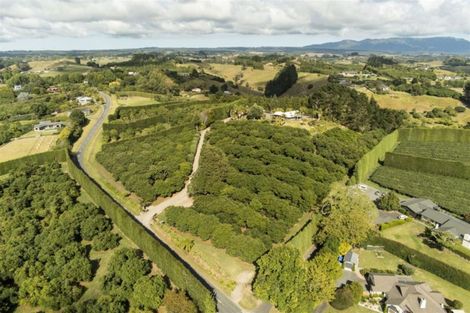 Photo of property in 56 Plummer Road, Whakamarama, Tauranga, 3179