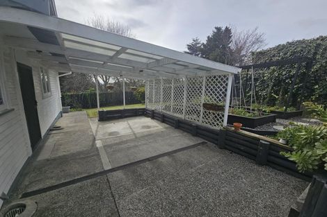 Photo of property in 11 Edith Place, Dinsdale, Hamilton, 3204