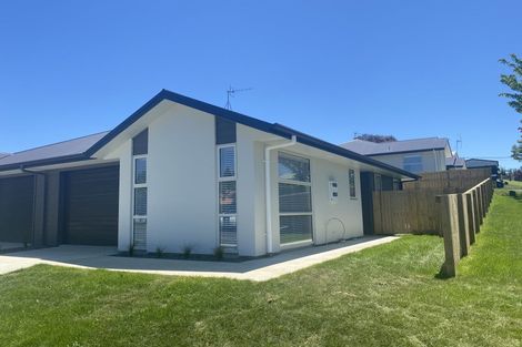 Photo of property in 14b Hinau Street, Maeroa, Hamilton, 3200