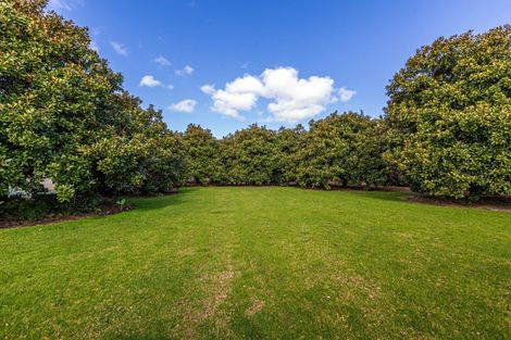 Photo of property in 92 Wymer Road, Glenbrook, Waiuku, 2681
