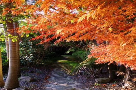 Photo of property in 52 Corinna Street, Welcome Bay, Tauranga, 3112