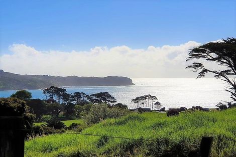 Photo of property in 41 Martin Road, Omapere, Kaikohe, 0473