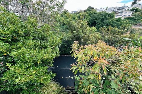 Photo of property in 9 May Avenue, Hospital Hill, Napier, 4110