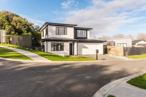 Photo of property in 1 Tower Place, Fitzherbert, Palmerston North, 4410