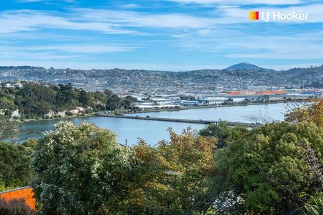 Photo of property in 21 Belford Street, Waverley, Dunedin, 9013