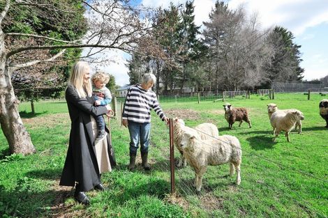 Photo of property in 60 Retreat Road, Waihopai, Invercargill, 9872