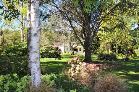 Photo of property in 41 Waldron Road, Alexandra, 9391