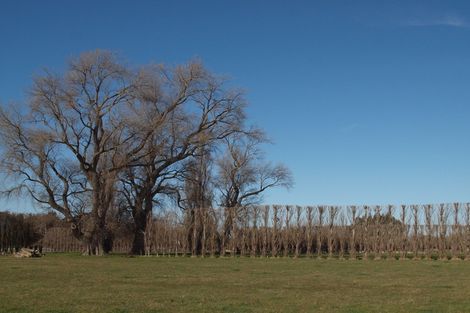 Photo of property in 84c Voss Road, Lincoln, 7674