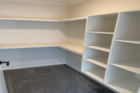 Photo of property in 117 Limbrick Street, Terrace End, Palmerston North, 4410