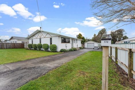 Photo of property in 172 Regan Street, Stratford, 4332