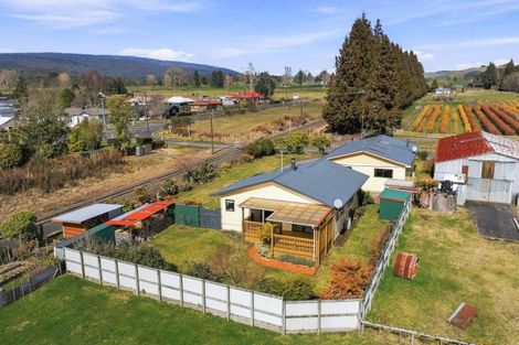 Photo of property in 41 Owhango Road, Owhango, 3990