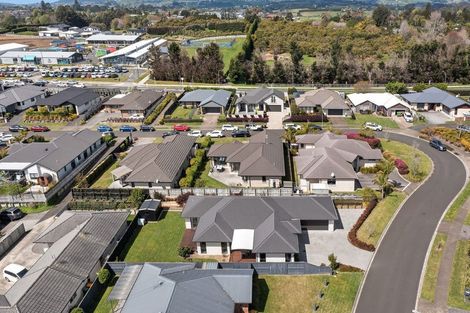 Photo of property in 36 Benmore Crescent, Pyes Pa, Tauranga, 3112