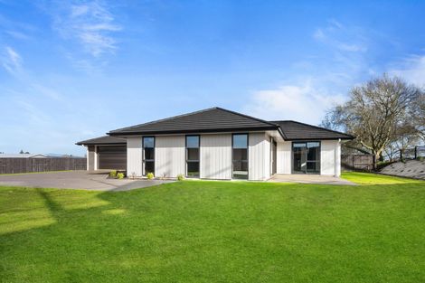 Photo of property in 41 Rawiri Street, Morrinsville, 3300