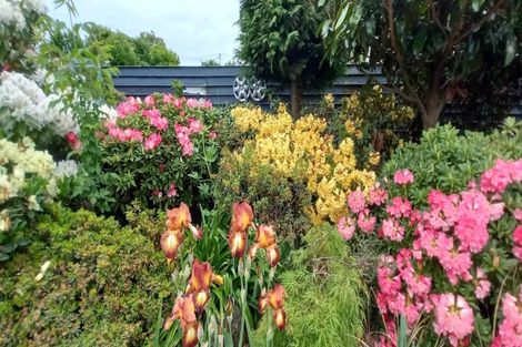 Photo of property in 236a Talbot Street, Geraldine, 7930