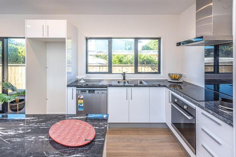 Photo of property in 49a Fitzherbert Avenue, Springvale, Whanganui, 4501