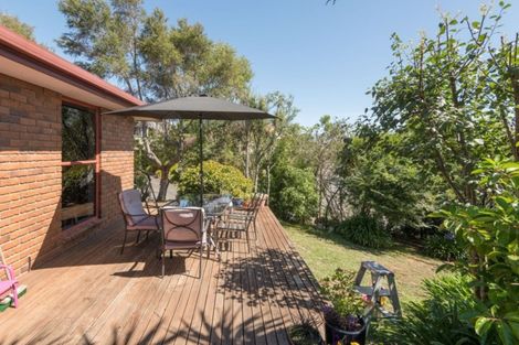 Photo of property in 15 Idesia Grove, Richmond, 7020