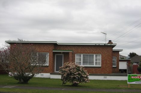 Photo of property in 54 Wilton Street, Levin, 5510
