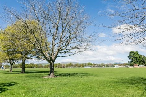 Photo of property in 503 Poplar Place, Akina, Hastings, 4122