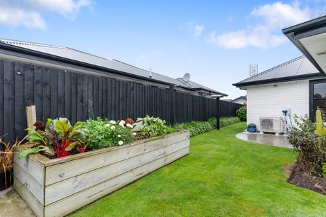 Photo of property in 48 Lucca Crescent, Rolleston, 7615