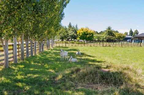 Photo of property in 572 Taonui Road, Colyton, Feilding, 4775