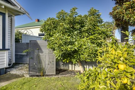 Photo of property in 19 Mcdonald Street, Napier South, Napier, 4110