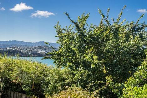 Photo of property in 47b Matai Road, Stanmore Bay, Whangaparaoa, 0932