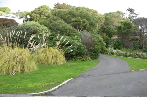 Photo of property in 87 Cliffs Road, Saint Clair, Dunedin, 9012