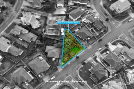 Photo of property in 25 San Marino Drive, Henderson, Auckland, 0612