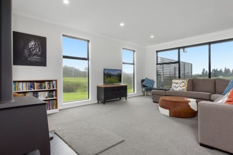 Photo of property in 81 Leyland Road, Whakamarama, Tauranga, 3179