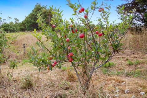 Photo of property in 306 Oneriri Road, Kaiwaka, 0573