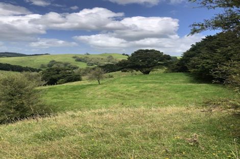 Photo of property in 725 Golden Stairs Road, Mareretu, Maungaturoto, 0589