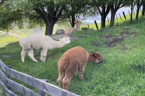 Photo of property in 204 Eskridge Drive, Eskdale, Napier, 4182