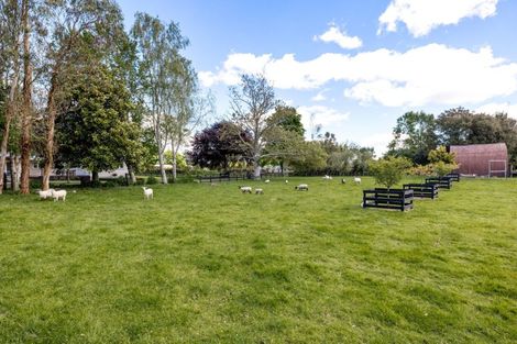 Photo of property in 5 Scotsman Valley Road, Tauwhare, Hamilton, 3287