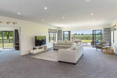 Photo of property in 2/53 Jellicoe Street, Greytown, 5712