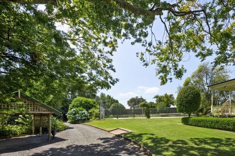 Photo of property in 288 College Street, Te Awamutu, 3800