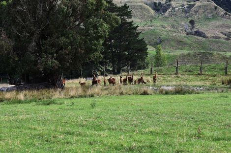 Photo of property in 2303 Lake Road, Frasertown, Wairoa, 4195