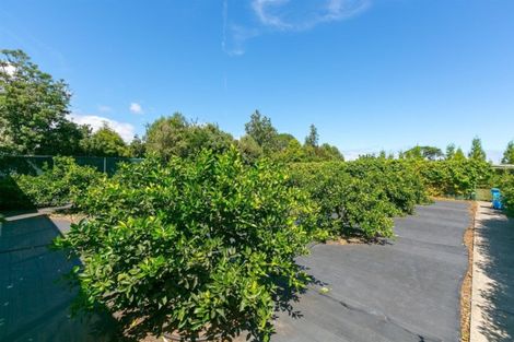 Photo of property in 14 Mountain Road, Sentry Hill, New Plymouth, 4373