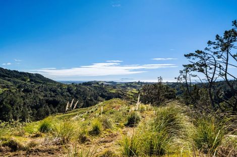 Photo of property in 225 Rocky Cutting Road, Waitao, Tauranga, 3175