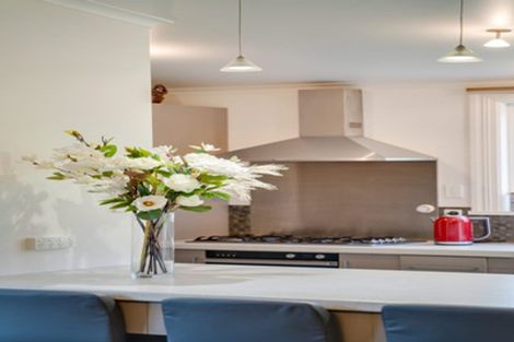 Photo of property in 15 Glenross Street, Glenross, Dunedin, 9011